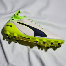 puma brésilien puma brésilien