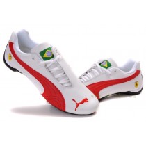 puma bresilien puma bresilien
