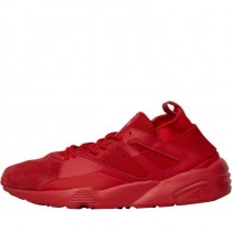 puma brésilien puma brésilien