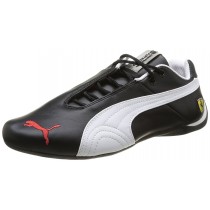 puma bresilien puma bresilien